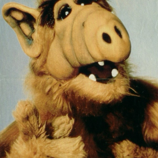 Nothing to do with Alf.