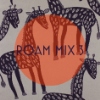 ROAM MIX 3