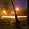 Walking Home (Alone?) At Night