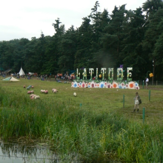 My latitude festival 2012