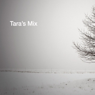 Tara's Mix - 2009