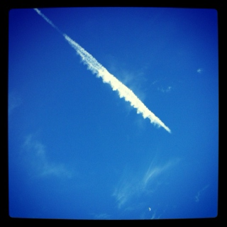 Blue skies 