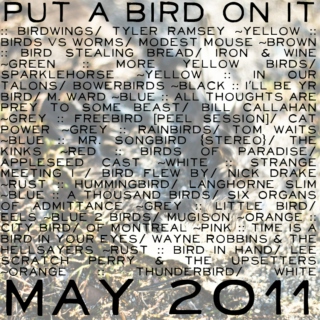 put a bird on it ~ may 2011