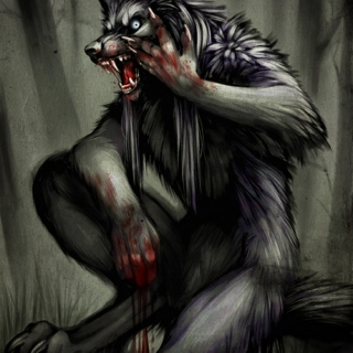 Vampires Vs Werewolfs