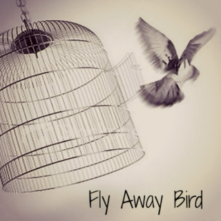 Fly Away Bird
