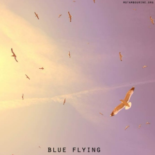 blue flying