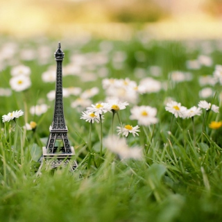 I love Paris in the springtime