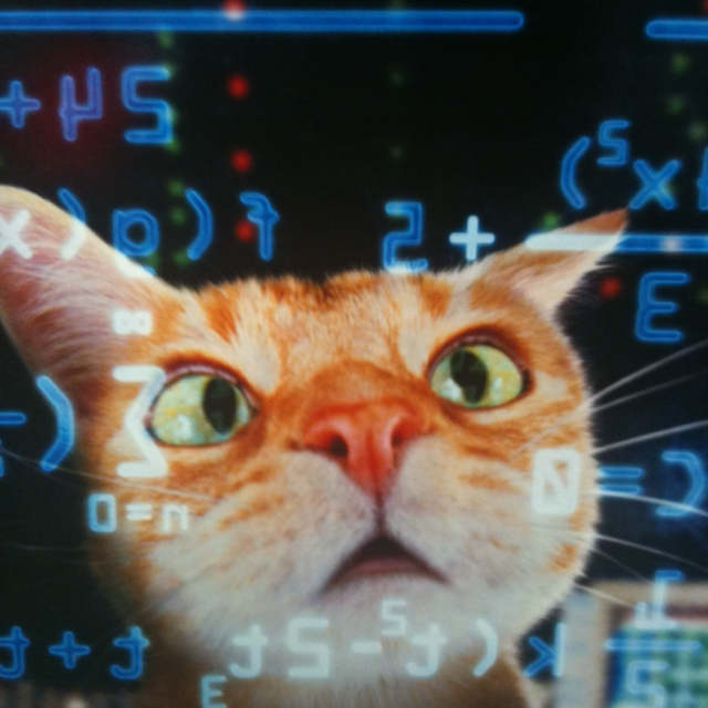 Calculating Felis