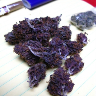 purpleehazee <3 (: