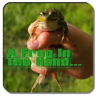 A frog in the hand...