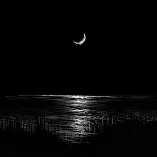 Melancholy by Moonlight