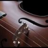 The Sound of The Cello