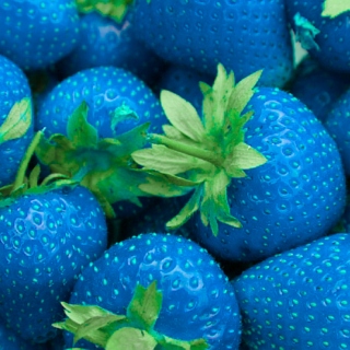 Blue Food