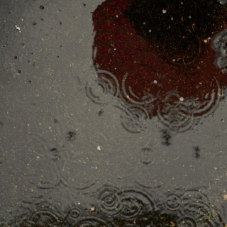 December Rain: Cold Weather Melodies