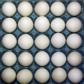 25 Eggs.
