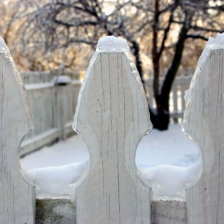 Little White Picket Fence