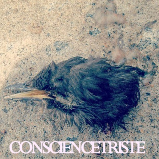 Conscience Triste