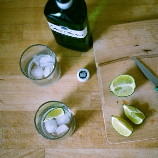 music for mixing up gin & tonics (spring 2010)