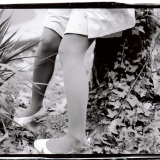A Summer Dusk Stroll With A Polaroid Camera