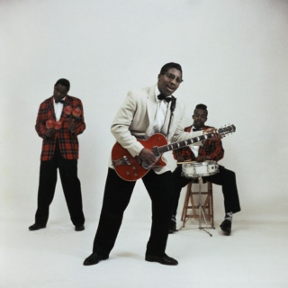 Hail Bo Diddley - a tribute