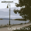 Diverse Artieste - Gone Beyond (2006)