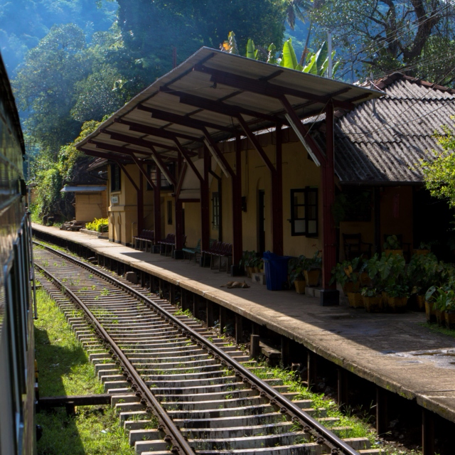 Sri Lankan Train Mix