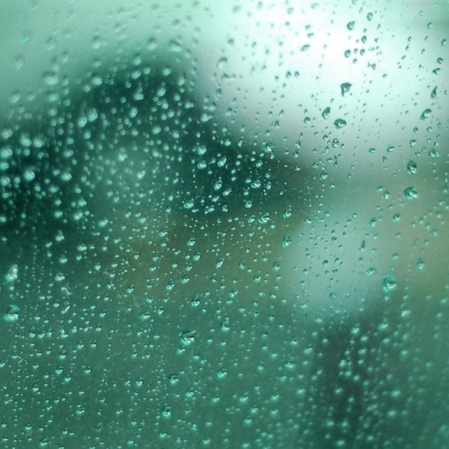 Out a Rainy Window
