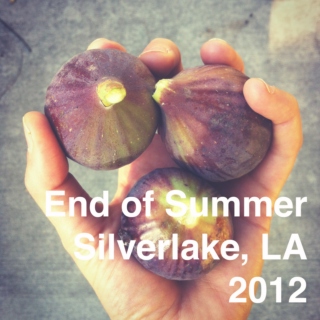 End of Summer 2012