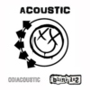 Best of Blink 182 Acoustic