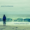 sons et ambiances endless summer 2012