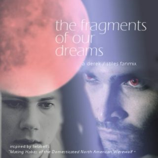The Fragments of our Dreams