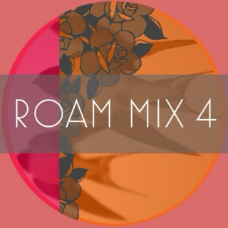 ROAM MIX 4