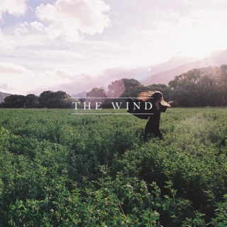 the wind.