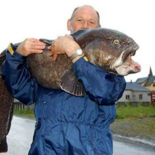 Damn! thats a big fish
