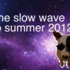 the slow wave to summer 2012 mix
