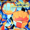 Junkie Wonderland: 3rd Free Download Promo Mix