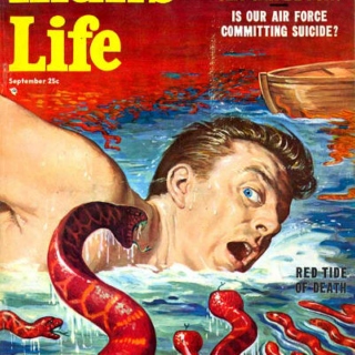 Man's Life: Red Tide of Death