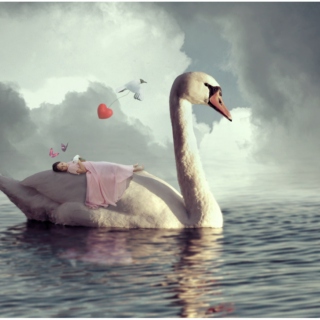 Carried to sleep by Swans