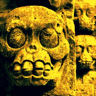 Gargantuan Cranium vol. 6: sunny skull selection