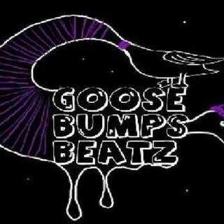 Hip-Hop and Goose Bumps