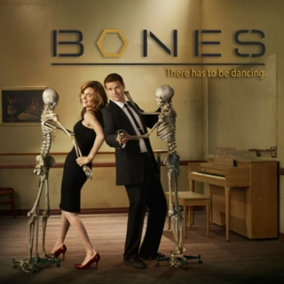 Bones Season 5 Premiere Mix
