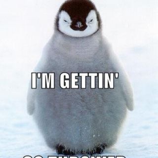 Party Penguin!