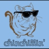 chinchillin'