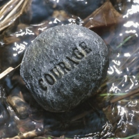 Courage (on the rocks)