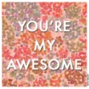 You're My Awesome