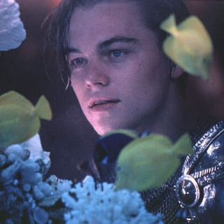 Crushin on Leonardo DiCaprio