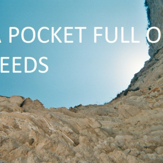 A Pocket Full Of Seeds Aug-Dec '10