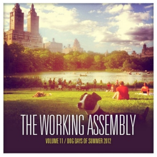 The Working Assembly Mixtape #11