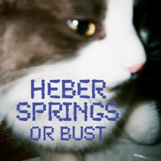 Heber Springs or Bust