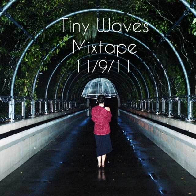  Tiny Waves 11/9/11 Mix